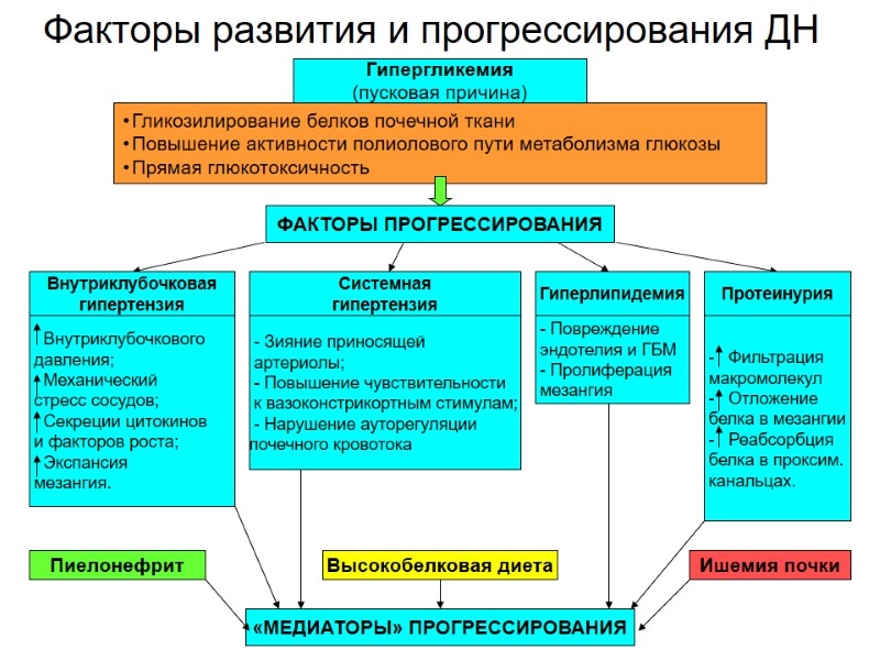 Факторы развития и прогрессирования ДН